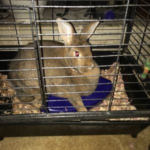 Meet your Posher, Darlene